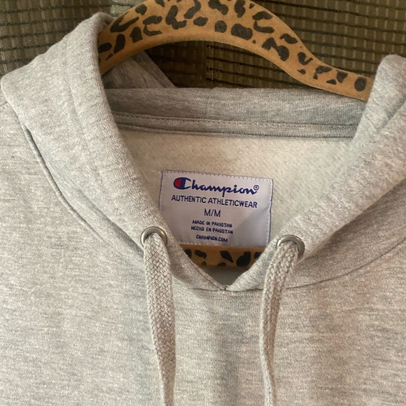 New without tags Greg men’s medium champion hooded sweatshirt - Picture 2 of 7